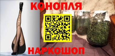 spice Кунгур