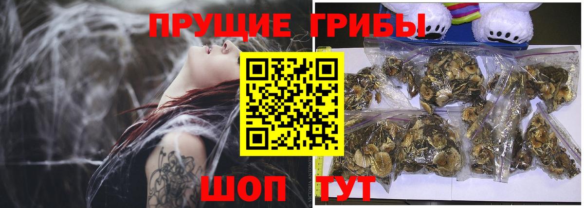 Галлюциногенные грибы GOLDEN TEACHER  Галлюциногенные грибы ЛСД  Вход с VPN  где продают   Егорьевск 